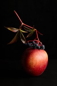 Kaboompics - Red Apple With Dark Berries and Autumn Leaves