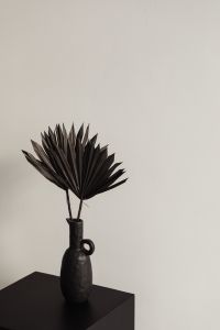 Kaboompics - Black Vase with Fan-Shaped Dried Palm Leaves, Minimal Still Life with Open Wall Space