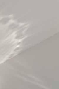 Kaboompics - Diagonal Organic Shadows on White Wall