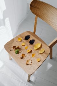 Kaboompics - Autumn Leaves and Acorns on a Wooden Chair