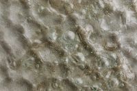 Kaboompics - Pale Gray Bubbled Glass Background with Scattered Translucent Shapes