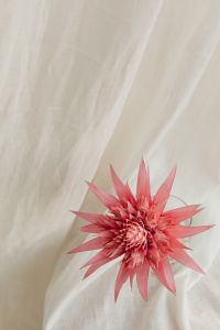 Kaboompics - Abstract White Fabric Folds and Texture