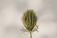 Kaboompics - Bright and warm free backgrounds or wallpapers