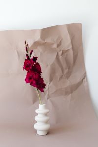 Kaboompics - Burgundy Gladiolus in Sculptural White Vase Against Crumpled Blush Paper