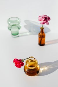 Kaboompics - Two Carnations and Colored Glass Vases in a Layered Floral Still Life