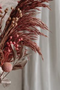 Kaboompics - Close Up Of Red Pampas Grass And Dried Seed Pods