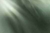 Kaboompics - Prismatic Light Reflections on Textured Green Background