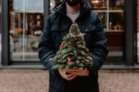 Kaboompics - Man Holding a Small Christmas Tree with Red Ornaments