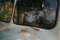 Kaboompics - Weathered Vintage Truck Window Reflecting Trees