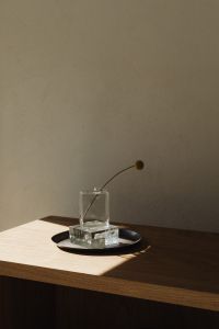 Kaboompics - Single dried flower in glass vase natural light