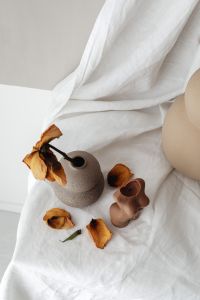 Kaboompics - Overhead Dried Rose Petals beside Speckled Ceramic Vases