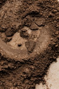 Kaboompics - Round Brown Powder Makeup Texture