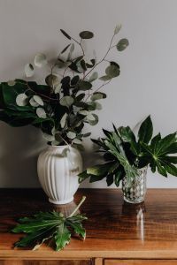 Kaboompics - Aralia and Eucalyptus Branches in a White Ribbed Vase, Neutral Botanical Home Decor