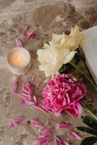 Kaboompics - Floral Still Life with Candle, Open Book and Pink Petals