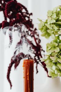 Kaboompics - Green Hydrangea, Red Amaranthus and Candle Still Life