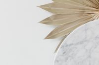 Kaboompics - Dried Palm Fronds and Round Marble Disc on White for Minimal Brand Backdrops