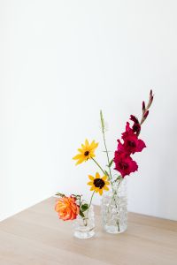 Kaboompics - Mixed Summer Flowers in Clear Vases on a Wood Surface