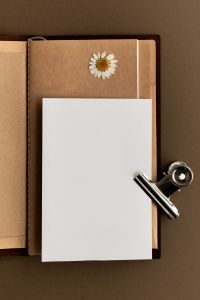 Kaboompics - Traveler Notebook with Blank Paper and Dried Daisy