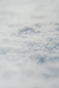 Kaboompics - Fresh snow in the garden