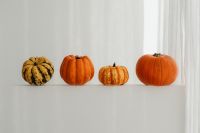 Kaboompics - Close-Up Pumpkins in a White Corner