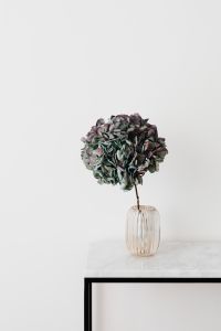 Muted Green and Mauve Hydrangea Still Life on Marble Furniture