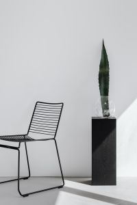 Minimalist Agave Leaf Decor With Glass Vase, Black Pedestal, Wire Chair, and Sunlit Shadows