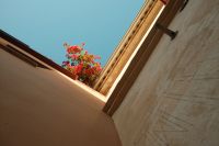 Kaboompics - Bougainvillea Above a Malaga Courtyard