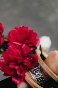 Kaboompics - Blooming red peonies
