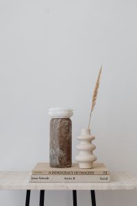 Kaboompics - Minimal Vase and Dried Stem on Neutral Books