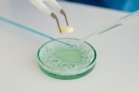 Kaboompics - Chemistry Demonstration With Tablet, Pipette and Culture Dish