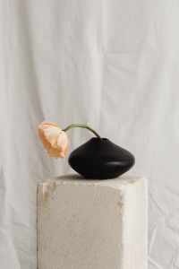 Kaboompics - Soft Flower Styling on Draped White Fabric