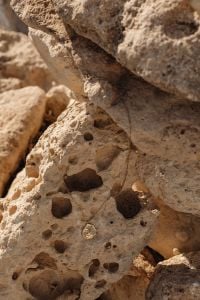 Kaboompics - Fine Gold Chain Necklace on Porous Limestone Close-Up