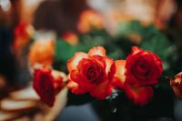 Kaboompics - Flowers arranged in a beautiful bouquet