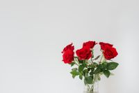 Kaboompics - Red Rose Bouquet Centered on White Background