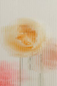 Kaboompics - Golden Flower and Pink Bloom Behind Ribbed Glass, Vertical Abstract Background