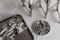 Kaboompics - Silver Spoons and Metal Decor on Reflective Tray