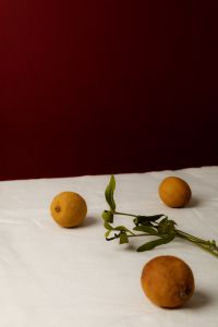 Kaboompics - Citrus Fruit with Botanical Stem on Linen, Burgundy Backdrop