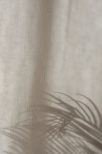 Kaboompics - Diagonal Palm Frond Shadow on Neutral Fabric
