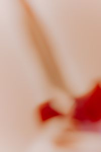 Kaboompics - Peach And Red Soft Focus Abstract Wallpaper