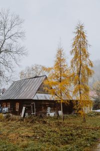 Kaboompics - Old wooden houses in the mountains in autumn