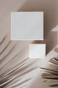 Kaboompics - Two White Box Mockups on Beige Background with Palm Fronds and Copy Space