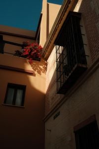 Kaboompics - Malaga Courtyard with Bougainvillea and Blue Sky