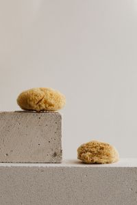 Kaboompics - Two Natural Sea Sponges on Concrete Steps