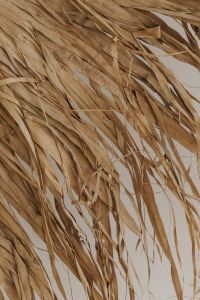 Kaboompics - Close-Up of Dried Grass Wall Hanging Texture