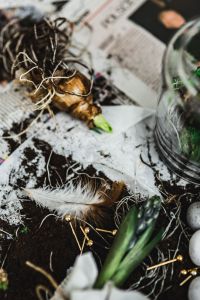 Kaboompics - Seedlings on a newspaper cover table with quail eggs