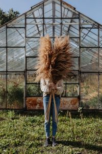 Kaboompics - Full-Length Portrait of a Woman Holding Pampas Grass