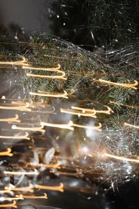 Kaboompics - Golden Light Trails On Silver Christmas Tree Branches