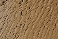 Kaboompics - The abstract line designed by water up on sand texture