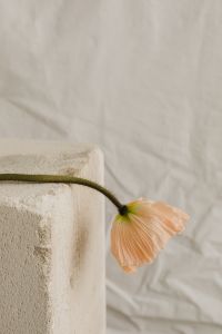 Kaboompics - Abstract Floral Detail with Neutral Fabric Texture