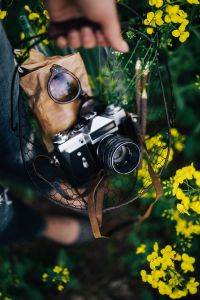 Kaboompics - Woman with vintage camera in the field of blooming rapes